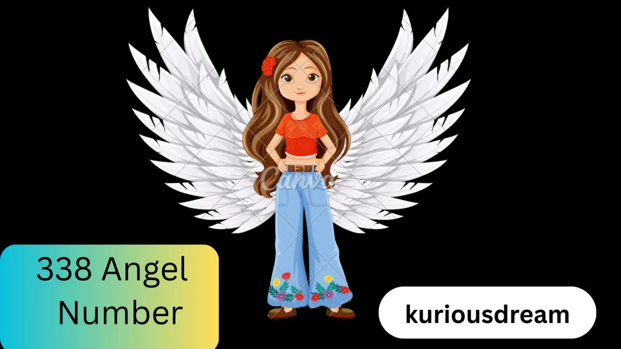 338 Angel Number