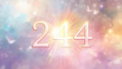 Angel Number 244