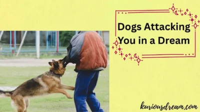 Dogs Attacking You in a Dream