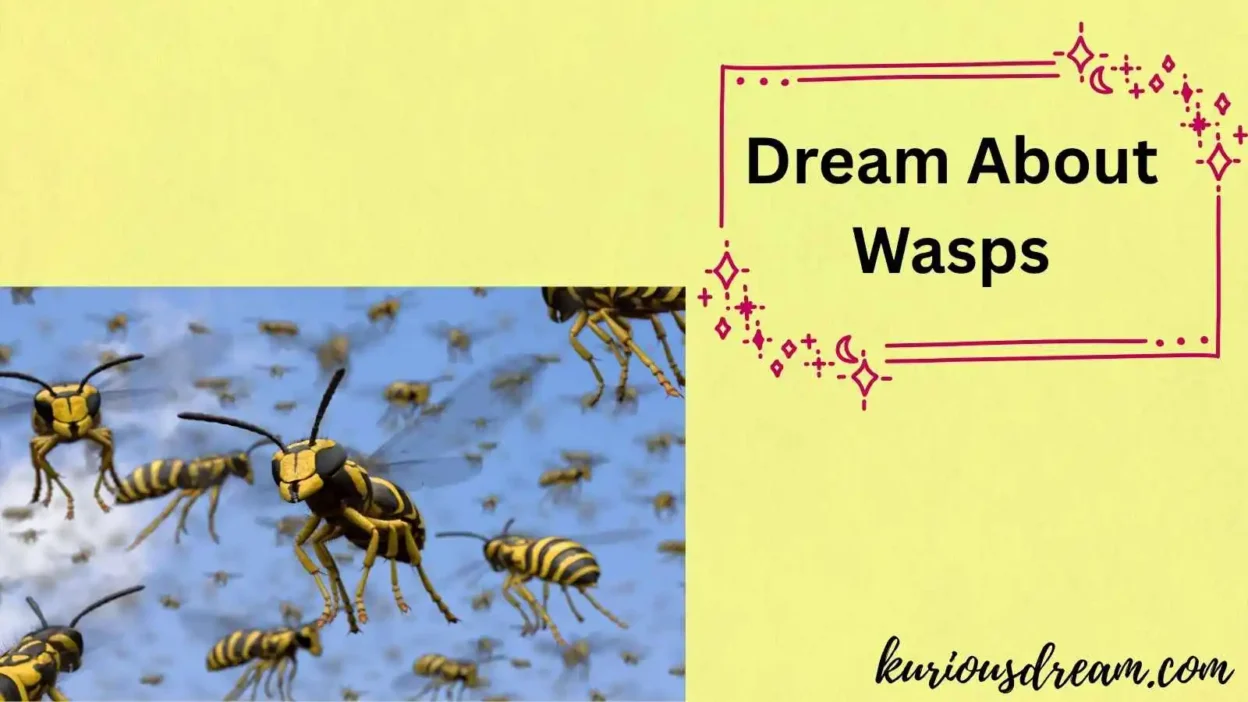 Dream About Wasps