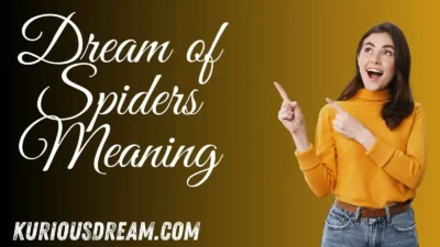 Dream of Spiders Meaning