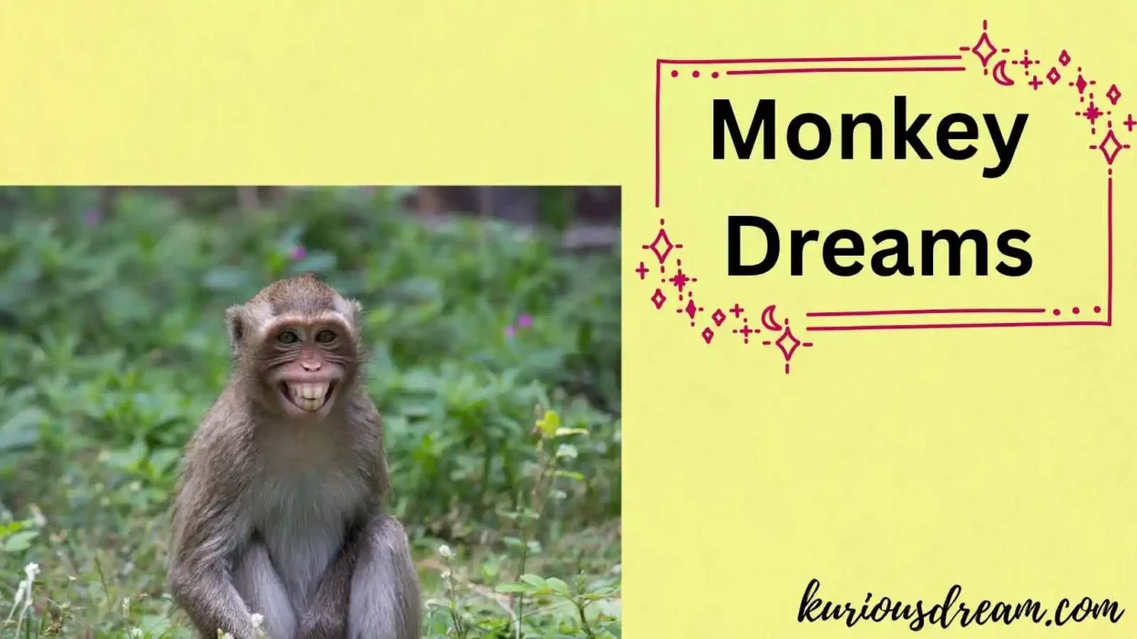 Monkey Dreams