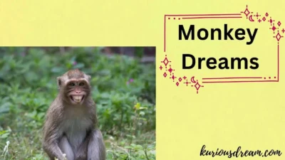 Monkey Dreams